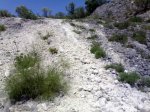 27042008093.jpg