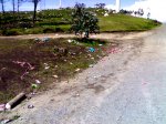 25022008118-1.jpg