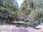 22-06-2008 033.jpg