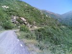 22-06-2008 046.jpg