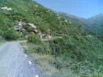 22-06-2008 047.jpg