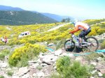 DSCN4624 (Custom).jpg