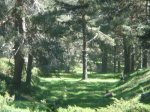 DSC05806.JPG