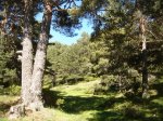 DSC05807.JPG