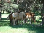DSC05814.JPG