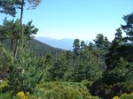 DSC05819.JPG