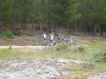 DSC06596r.jpg
