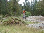 DSC06599r.jpg