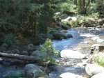 DSC05825.JPG