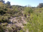 Imagen049.jpg