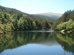 DSC05844.JPG