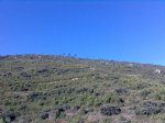 Imagen064.jpg