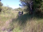 Imagen038.jpg