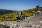 DH Navacerrada 145.jpg