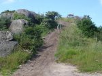 DSC06622r.jpg