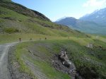 resized_DSC03490.jpg