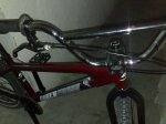 22102007258.jpg