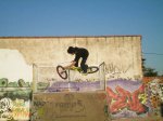 senene_aereo2_19-6-08.jpg