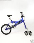 BICI 5 Ruedas.jpg