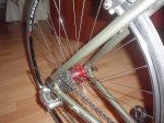 DSC09390.jpg