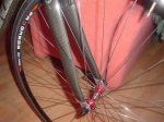 DSC09391.jpg