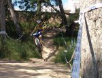 Copia de DSC02504.JPG