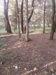 Foto0029.jpg
