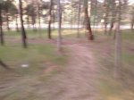 Foto0028.jpg