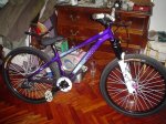 DSC00184.jpg