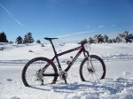 bici edu.jpg