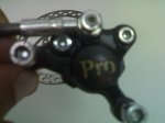 26062008411.jpg