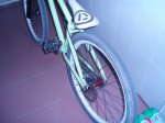 p1010066wp4.jpg