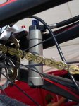 Sauser_2009_Epic_rear_brain.jpg