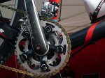 Sauser_2009_Epic_spider.jpg