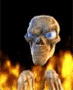 calaverapm.gif