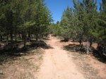 Salida Teruel 22.06.2008 165.jpg