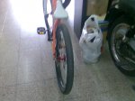 Imagen044.jpg