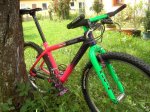 storck1.JPG