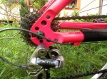 storck2.JPG