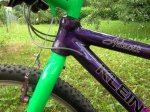 storck3.JPG