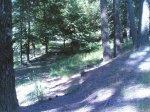 28-06-2008 002.jpg