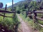 28062008313.jpg