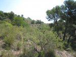 Ruta 20. Senda Park 023.jpg