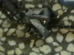 26062008237.jpg