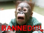 banned-chimp.jpg