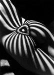 lucienclergue.jpg