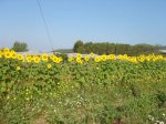SantaGer-1.jpg