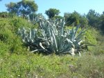 SaTorretaPuntoGeo-4.jpg