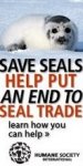 120x240_stop_seal_trade_wh_seal[1].JPG