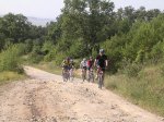 DSCN6075.jpg